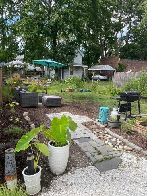 Studio Apt W Garden Kingston Exteriér fotografie