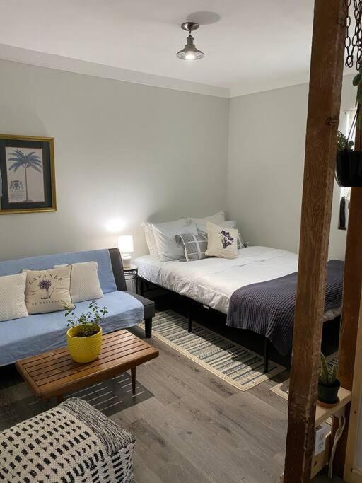 Studio Apt W Garden Kingston Exteriér fotografie
